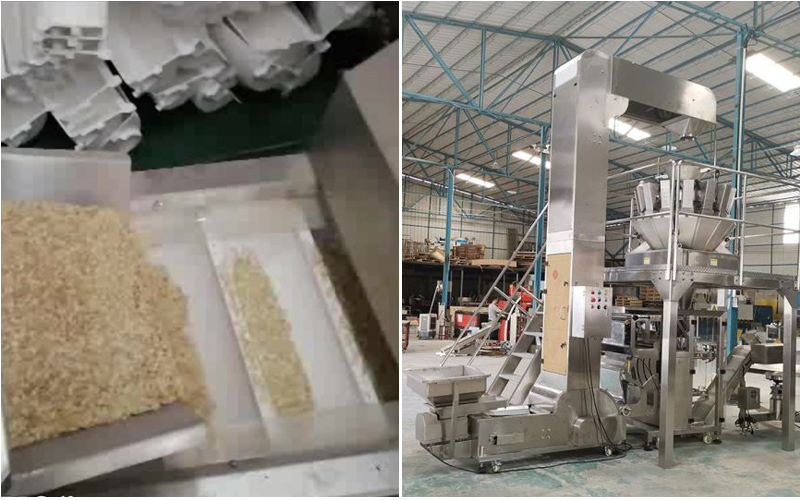 کارخانه صنایع غذایی