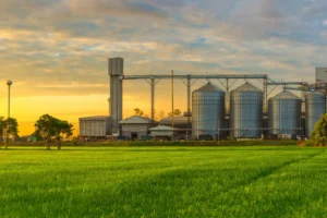 تصویری از کاخانه مواد غذایی